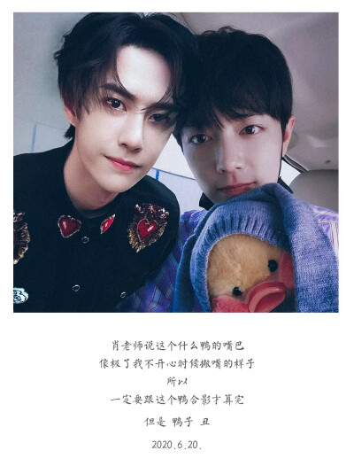 王中王一肖资料详解，探寻一肖的神秘面纱，王中王一肖资料大全，探寻神秘一肖的面纱