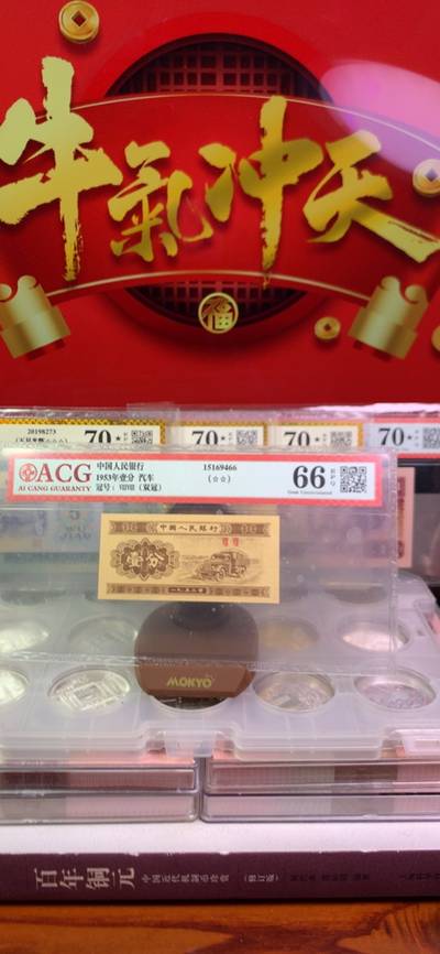 揭秘20I9王中王平特一肖的独特魅力与奥秘，揭秘，王中王平特一肖的独特魅力与神秘面纱