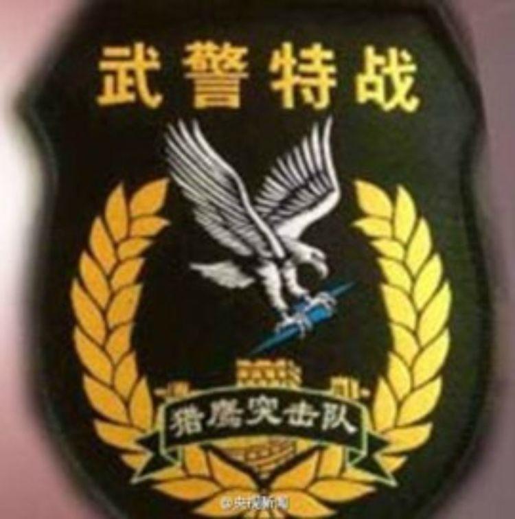 中国人民武装警察部队特种警察学院专业设置详解，中国人民武装警察部队特种警察学院专业设置深度解析