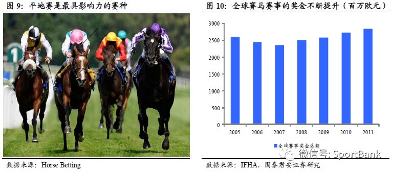 2023年香港马开奖记录概览与解析，香港马开奖记录概览与解析（2023年）
