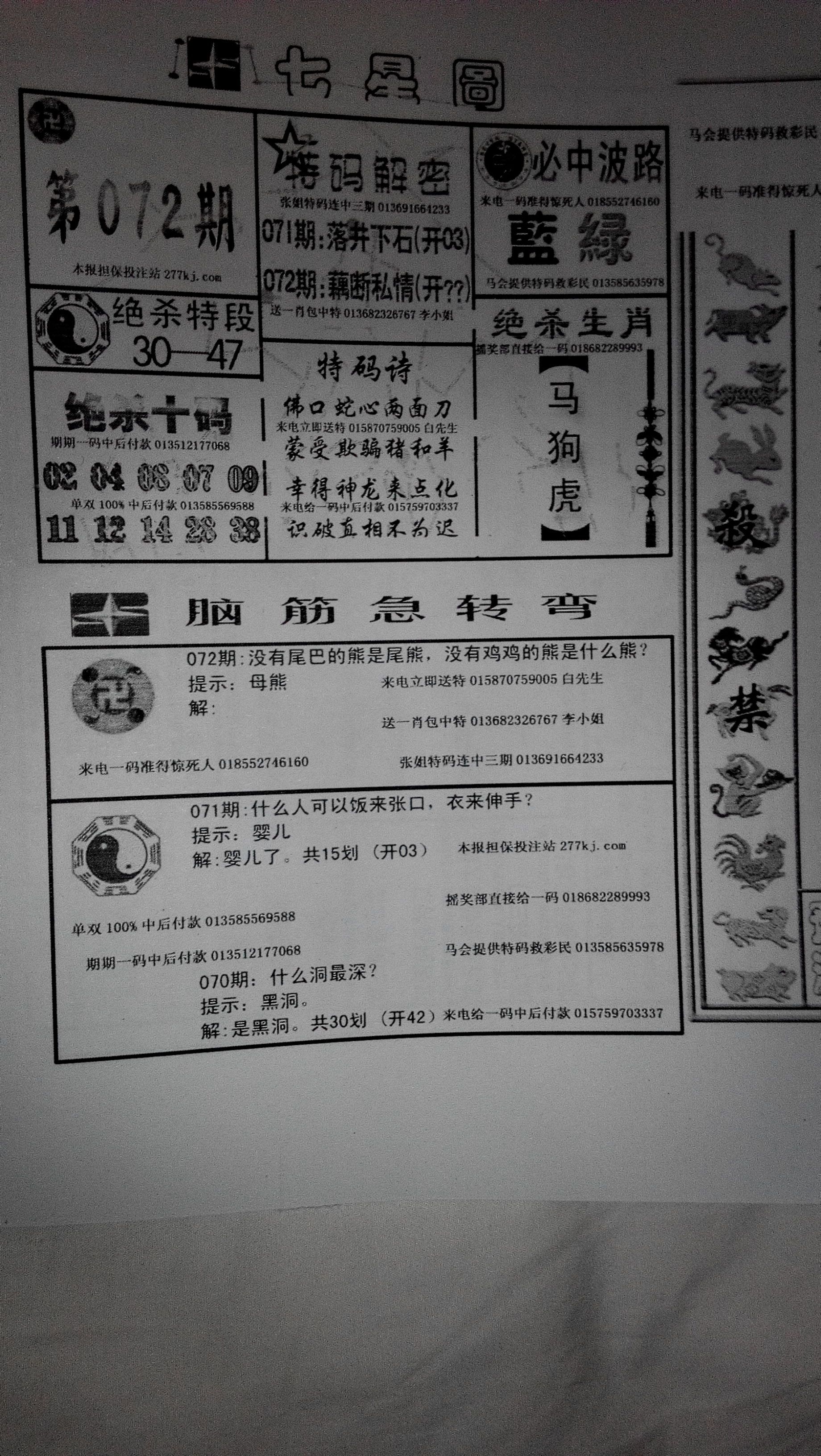 王中王291期指一生肖，揭秘生肖运势与独特魅力，揭秘生肖运势与独特魅力，王中王生肖运势分析（第291期）