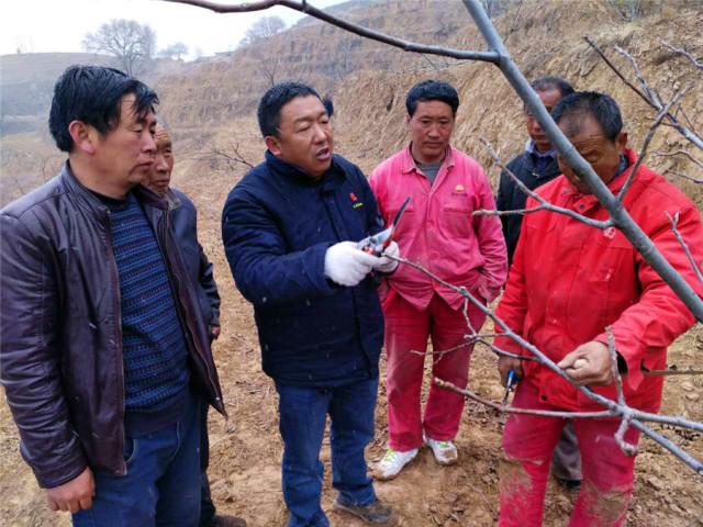 靖边最近新闻大事，靖边最新新闻大事概述