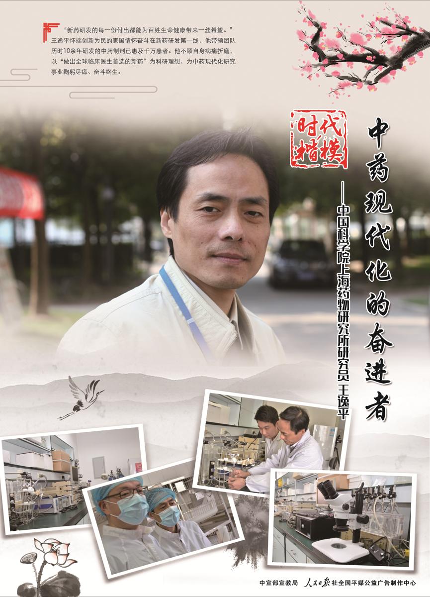 王逸平，一位引领时代的先锋人物，王逸平，时代先锋的领导力风采