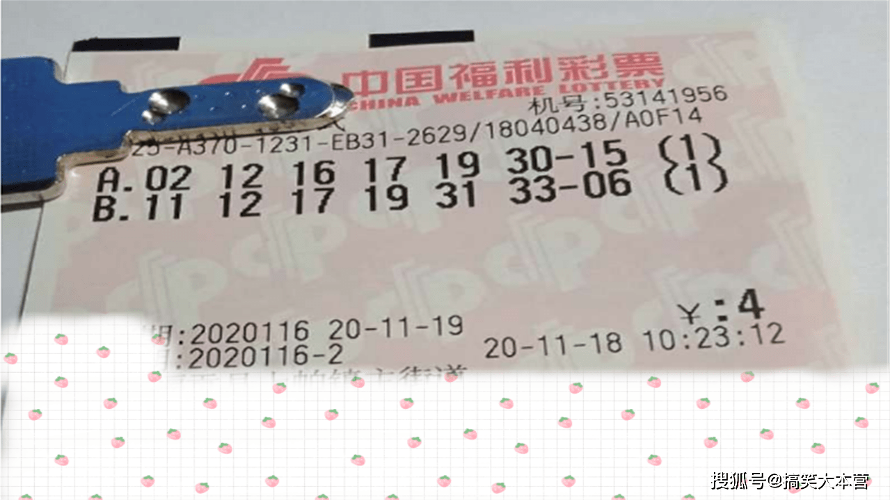澳门六开奖结果第116期深度分析与预测，澳门六开奖结果第116期深度解析与预测报告