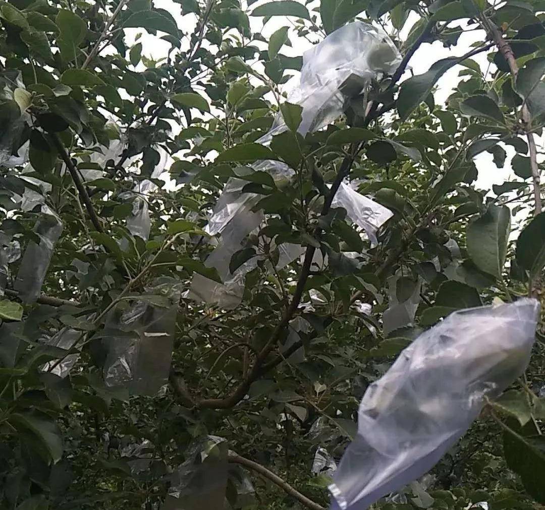 澳门最快最准期期资料，深度解析与探索，澳门最快最准期期资料深度解析与探索指南