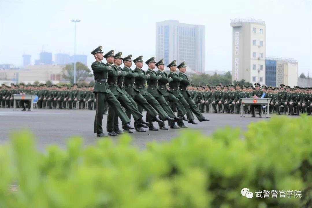 武警警官学院毕业生的职业前景与发展方向，武警警官学院毕业生职业前景及发展方向展望