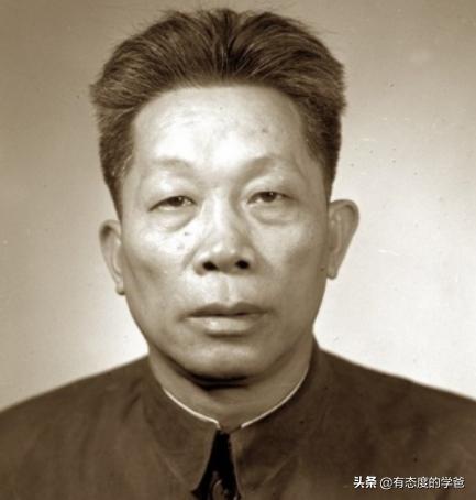 海南岛领导的人民武装，纵队概述及其重要性，海南岛人民武装纵队概述及其重要性