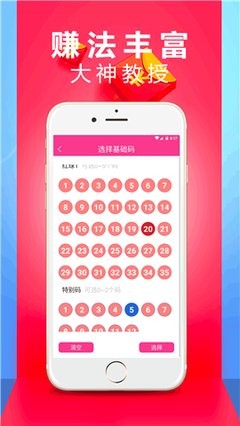 一王中王免费六肖中特，揭秘精准预测的秘密，揭秘一王中王免费六肖精准预测的秘密
