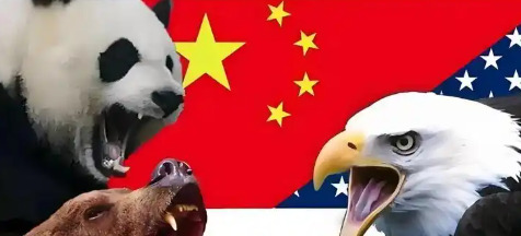 中国、美国与俄乌战争，最新消息与深度解析，中美视角下的俄乌战争最新动态与深度解析