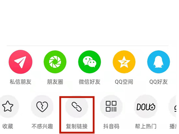 白小姐王中王一肖选一码，解密背后的故事与SEO洞察，白小姐王中王一肖选一码背后的故事与SEO洞察揭秘