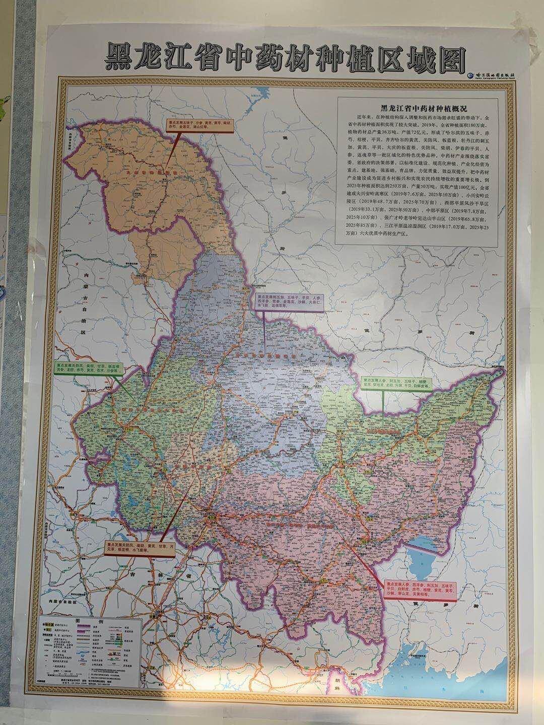 2025年香港资料大全正版下载指南，香港资料大全正版下载指南 2025版