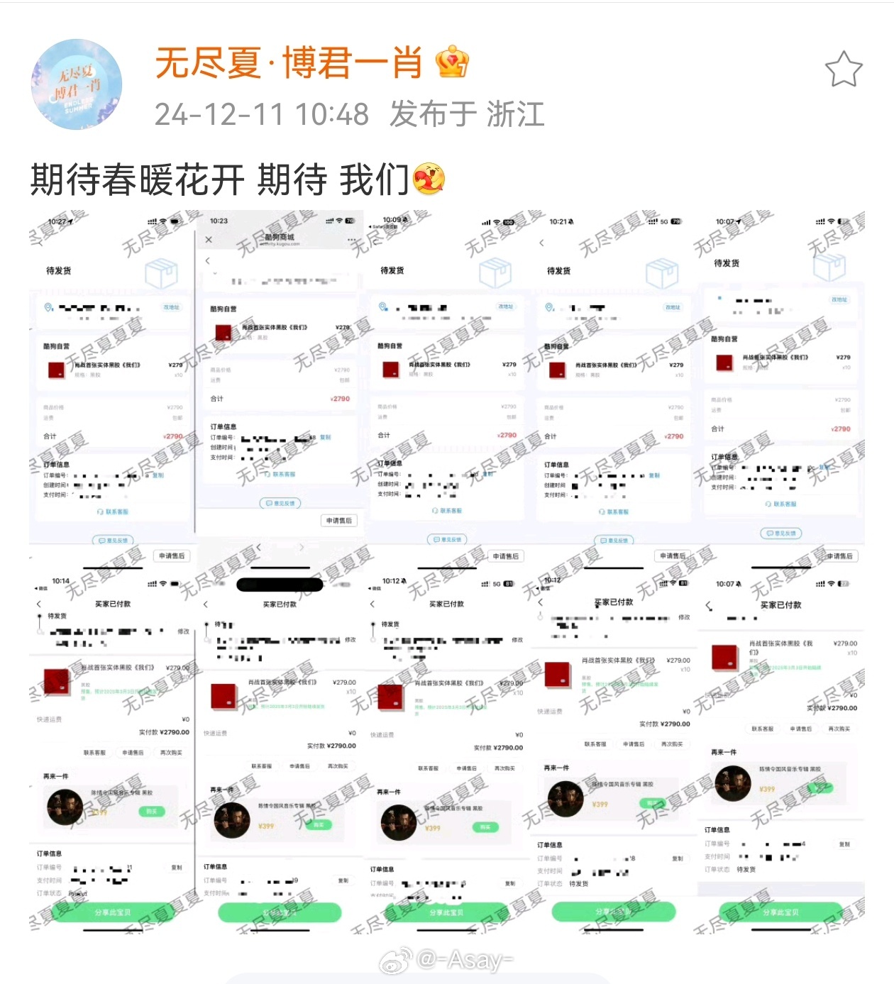 王中王一肖中特兔费，深度解析与SEO优化策略，王中王一肖中特兔费深度解析与SEO优化策略探讨