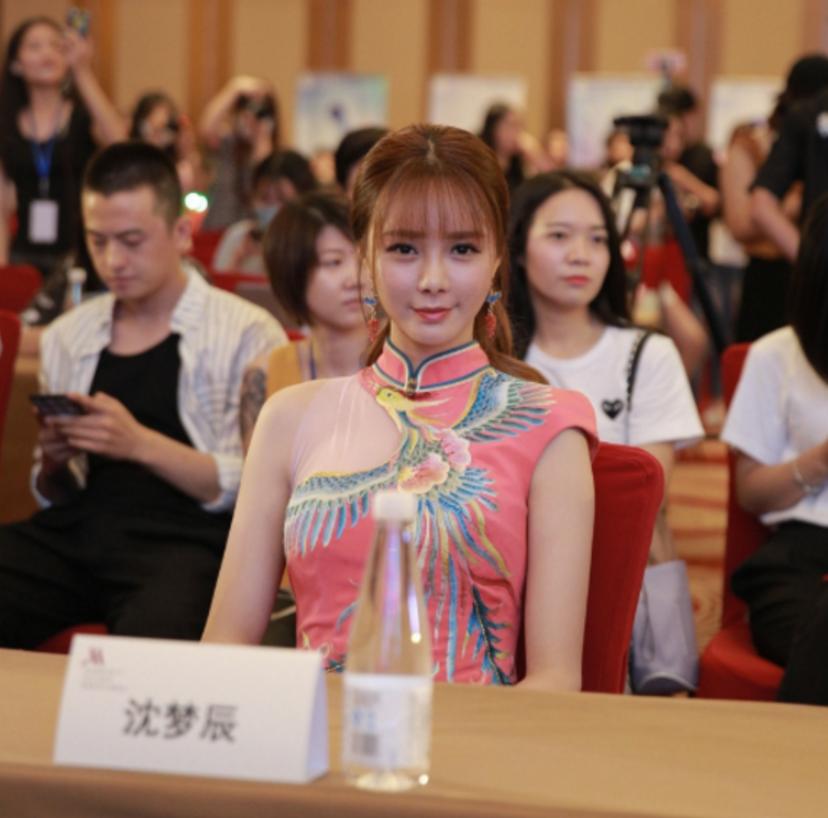 揭秘，2009国庆阅兵主持人风采与传奇故事，揭秘，2009国庆阅兵主持人风采与背后的传奇故事