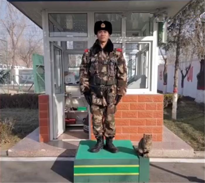武警部队历史简介，武警部队历史简介概览