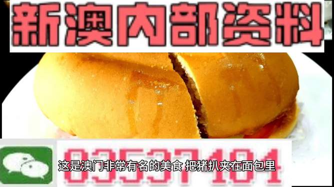新澳门最精准正最精准——探索澳门的精准魅力，澳门魅力揭秘，精准探索之旅