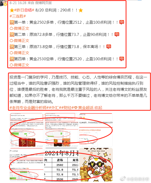 香港王中王一肖最准网站——揭秘精准预测的秘密，香港王中王一肖最准网站揭秘，精准预测背后的秘密