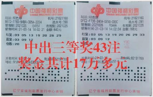 澳门王中王开奖结果一肖，揭秘彩票背后的秘密，揭秘澳门王中王彩票开奖背后的秘密与一肖结果揭晓