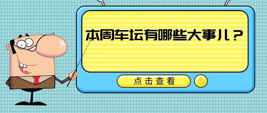 王中王335期指一生肖，揭秘背后的秘密与策略，揭秘王中王335期生肖预测背后的秘密与策略