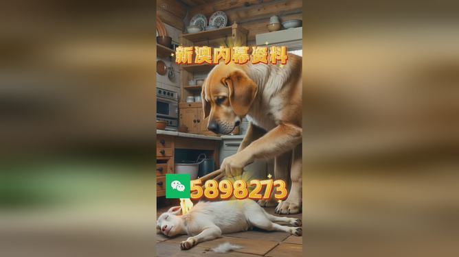 澳门精准四不像，探索未来预测与机遇的2025展望，澳门精准四不像展望2025，未来预测与机遇探索