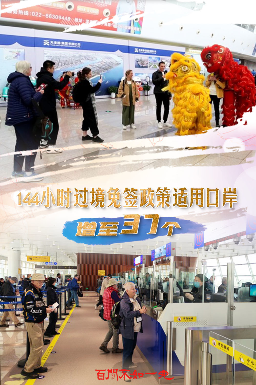 揭秘林中王中王，揭晓神秘生肖之谜，揭秘林中王中王，神秘生肖之谜揭晓