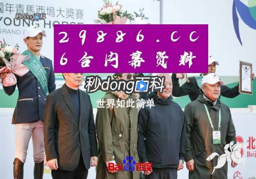 香港王中王平特一肖网，深度解析与SEO优化策略，香港王中王平特一肖网深度解析与SEO优化策略探讨