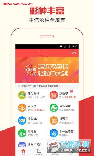 79期王中王三肖一码详解与SEO优化策略，79期王中王三肖一码详解及SEO优化策略指南