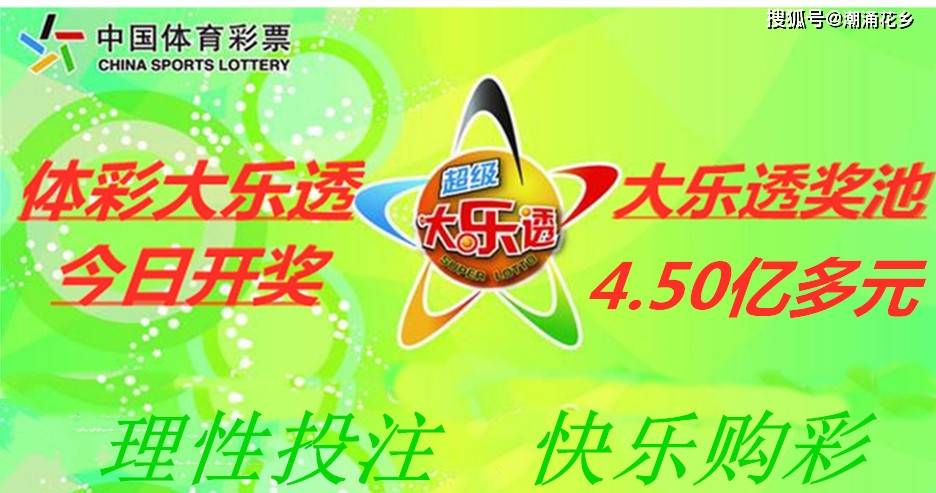 王中王046期指一生肖，深度解读与SEO优化策略，王中王046期生肖深度解读与SEO优化策略全解析