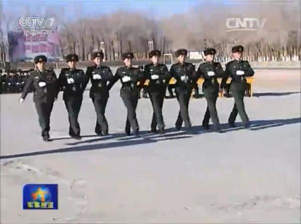 战略支援部队是否拥有特种作战能力？解析与探讨，战略支援部队的特种作战能力解析与探讨