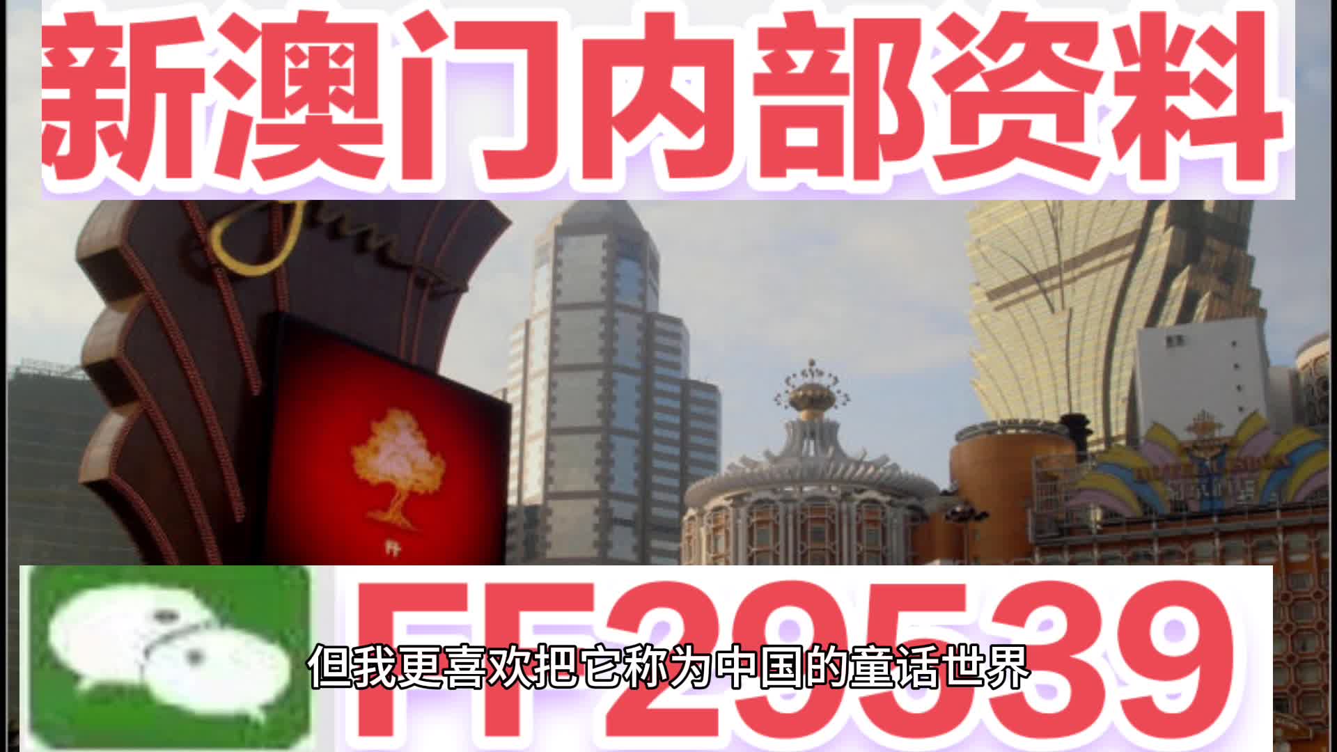 新澳门今晚必开一肖一特——深度解析与预测，澳门今晚生肖预测，深度解析与独家预测