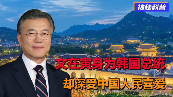 为什么中国人喜欢文在寅，探索背后的原因，中国人对文在寅的偏爱背后的深层原因探索