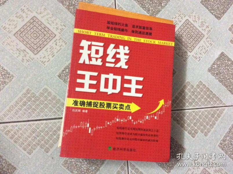 王中王平特一肖解平特，深度解析与SEO优化策略，王中王平特一肖解平特深度解析与SEO优化策略探讨