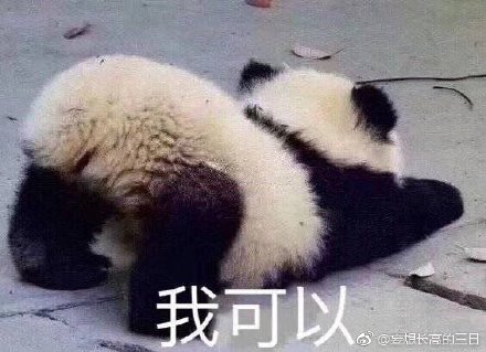 文化魅力探索