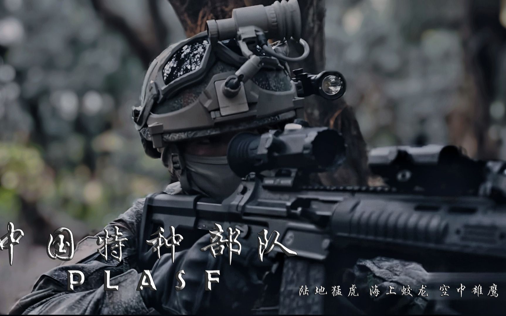 揭秘蛟龙特种部队，人数与实力解析，揭秘蛟龙特种部队，人数与实力深度解析