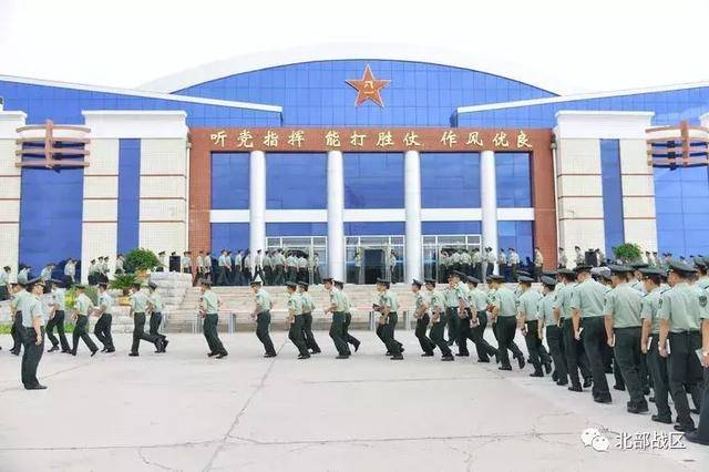 河北38军所属兵种解析，河北38军所属兵种深度解析