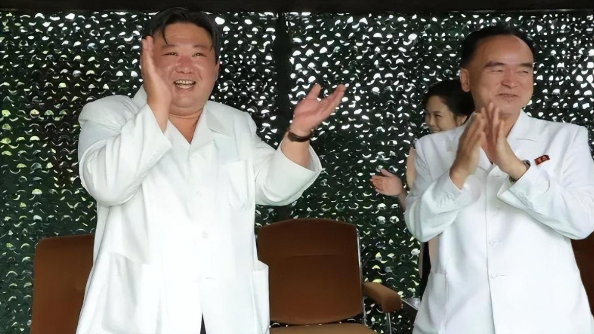 白杨洲际导弹价格深度解析，白杨洲际导弹价格揭秘，全面深度解析
