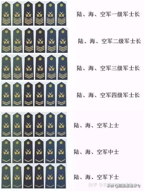 第一批士官诞生的年份，历史回顾与解析，首批士官诞生年份的历史回顾与解析