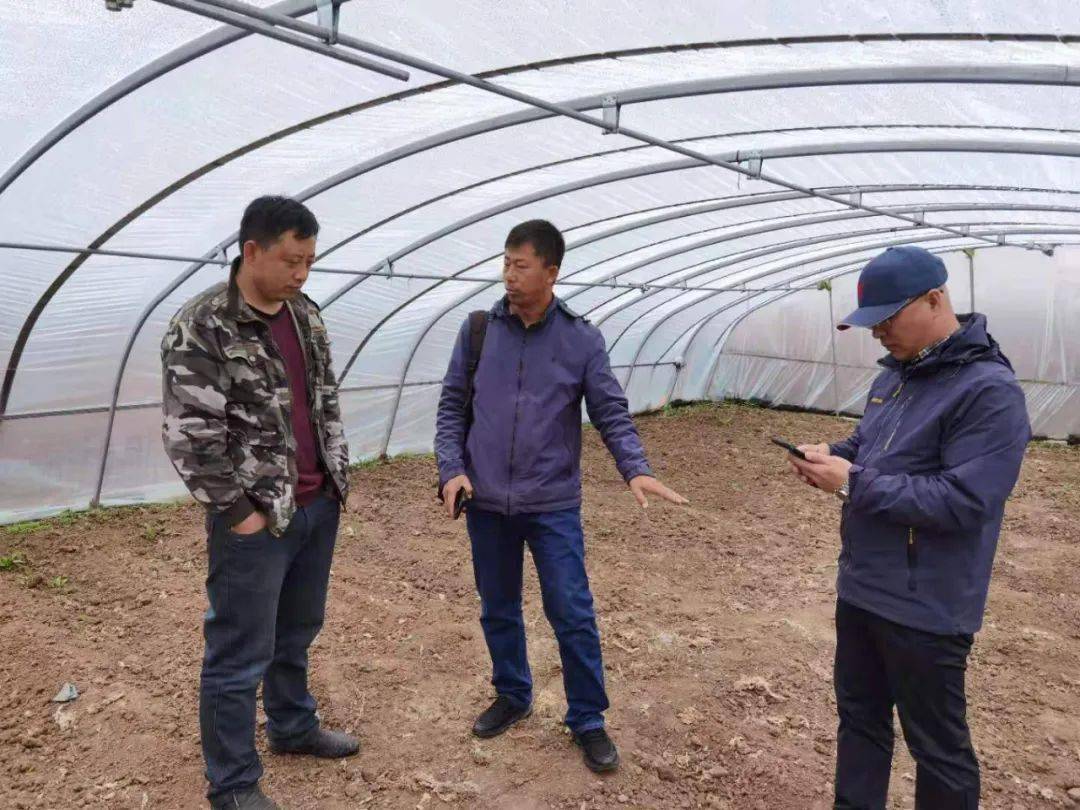 新澳好彩免费资料查询100期，探索彩票世界的秘密，彩票世界揭秘，新澳好彩免费资料查询100期独家指南