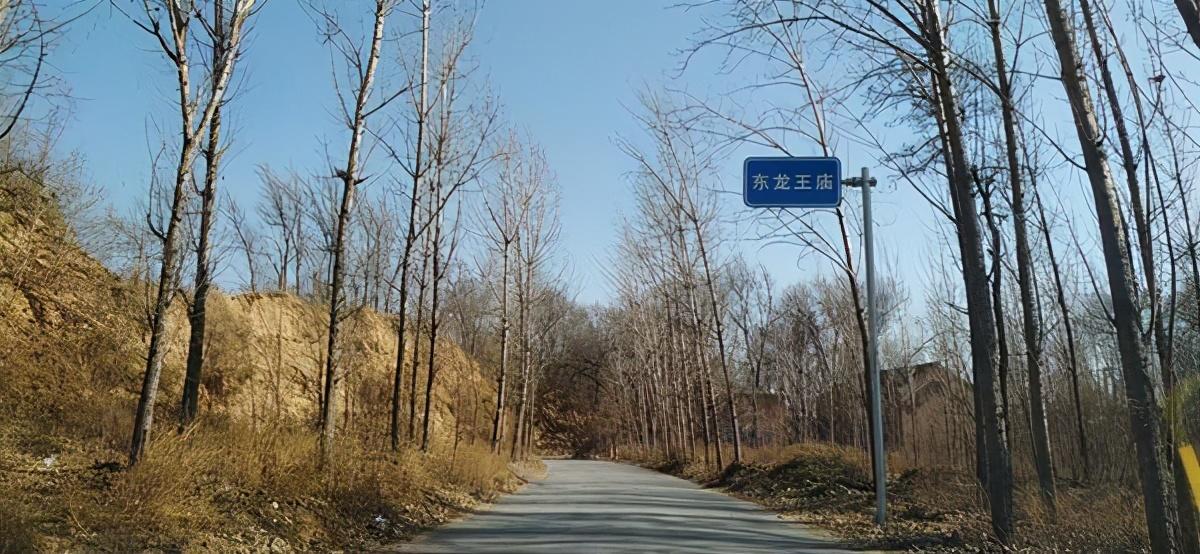 肖思远战斗视频，深度解析与探讨，肖思远战斗视频深度剖析与探讨