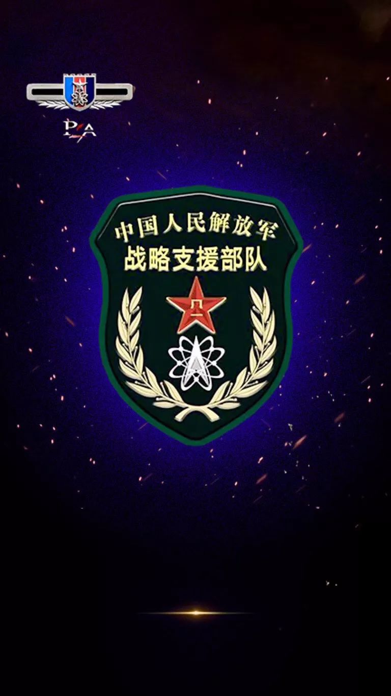 战略支援部队，其重要性及其贡献评价，战略支援部队的重要性与贡献评价解析