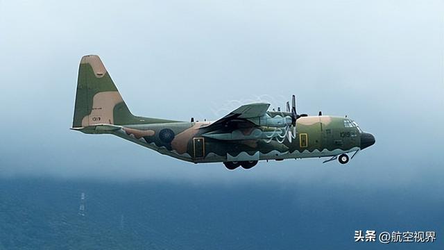 南部战区空军停飞事件深度解析，南部战区空军停飞事件深度剖析