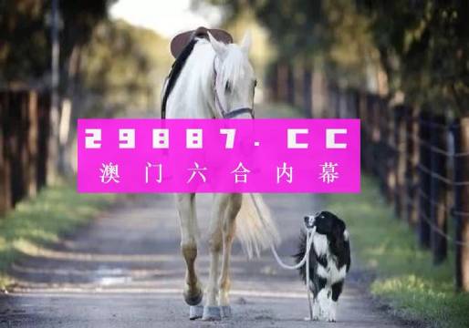 澳门免费精准大全4949，探索真实有效的资源世界，澳门免费精准大全4949，真实有效资源世界的探索之旅