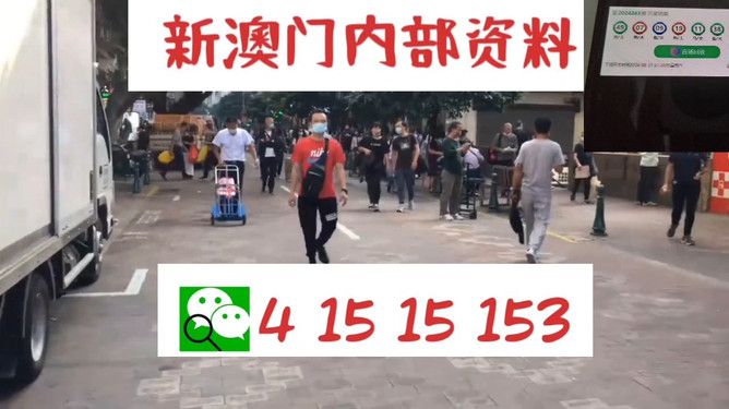 澳门管家婆——肖一码，揭秘独特的SEO策略与秘密武器，澳门管家婆肖一码，独家揭秘高效SEO策略与秘密武器
