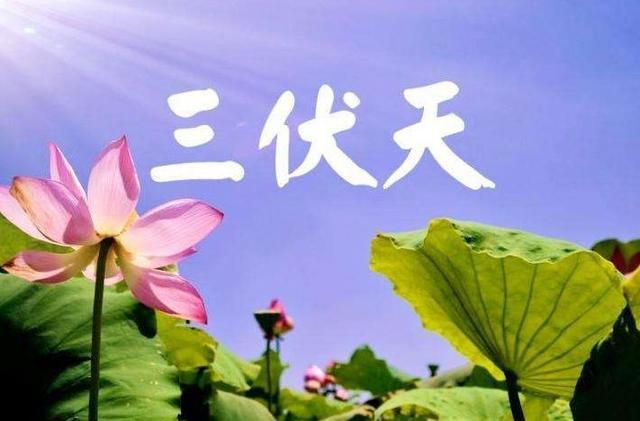 今日三伏天第几天，关于伏天的深度解析，三伏天的深度解析，今日进入第几伏天？