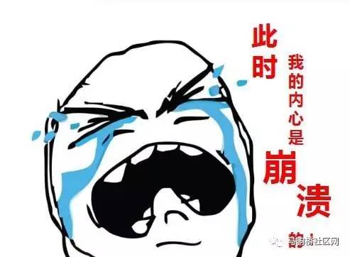 关于人美B遭罪顺口溜的探讨，人美B遭罪顺口溜深度解析