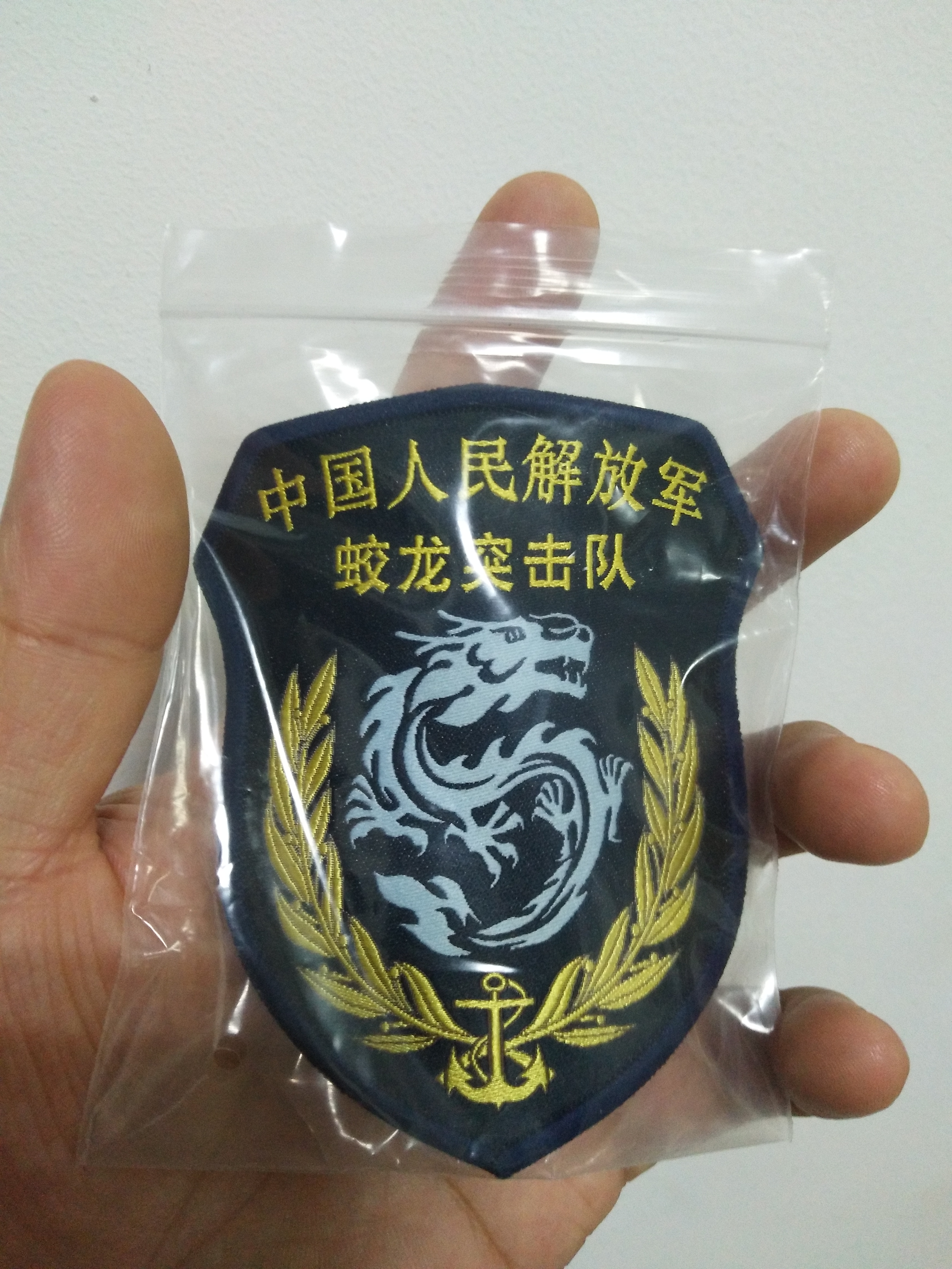蛟龙突击队臂章高清图，揭示神秘部队的荣耀与力量，揭秘蛟龙突击队臂章，荣耀与力量的象征