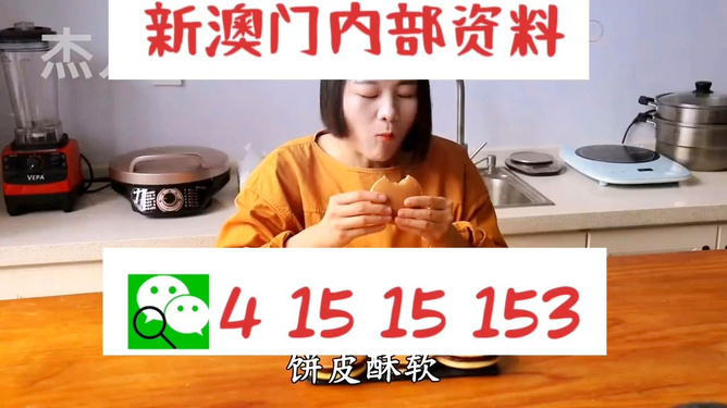 新澳六叔精准资料大全，揭秘背后的秘密与实用指南，新澳六叔精准资料揭秘，背后秘密与实用指南大全