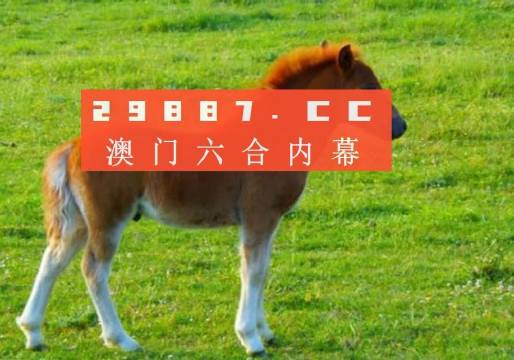 新澳门一肖一码中恃，揭秘彩票背后的秘密策略与技巧，揭秘彩票背后的秘密策略与技巧，新澳门一肖一码中恃解析
