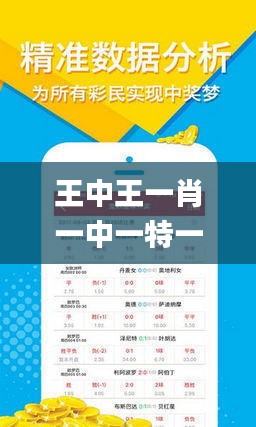 王中王欲钱出一肖63期，揭秘生肖运势与彩票预测之谜，揭秘生肖运势与彩票预测，王中王预测生肖彩票63期运势分析