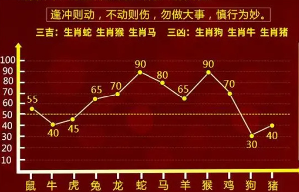 一肖一码预测