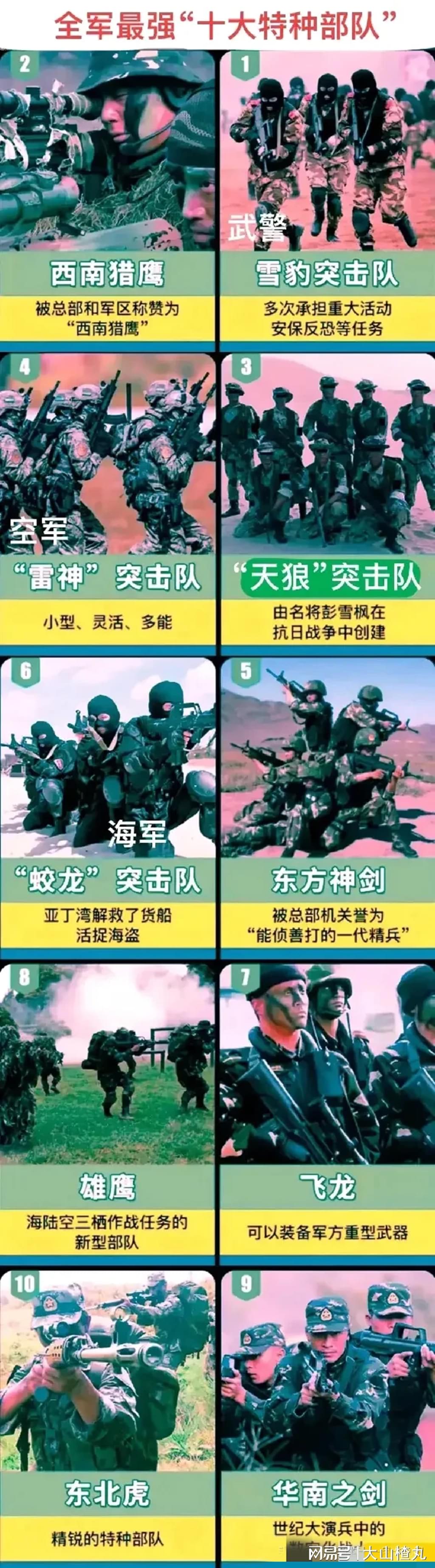 中国特种部队实力如何，深度解析与评估，中国特种部队实力深度解析与评估，全方位探讨战斗力及表现